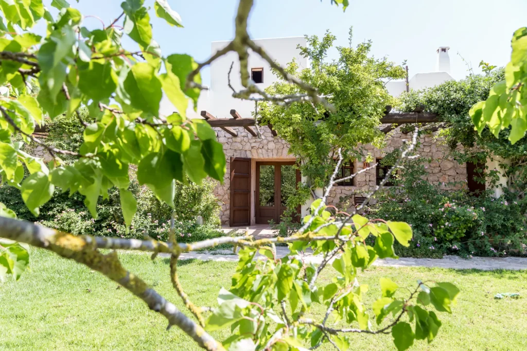 Canpujolet 2579 Tiny