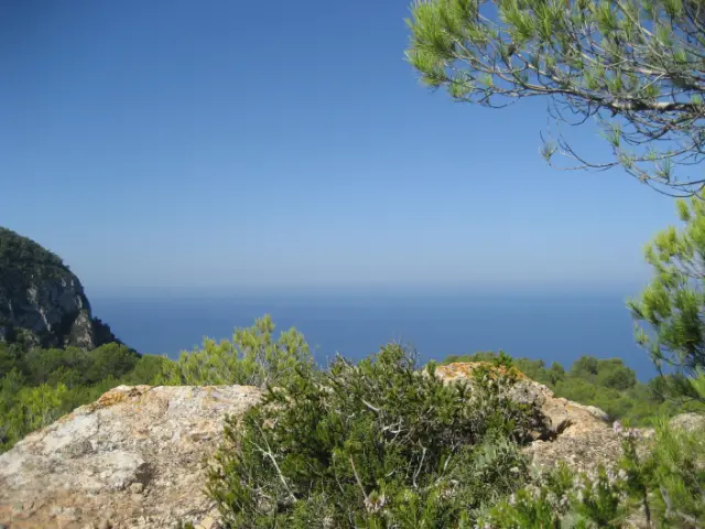 Canpujolet Walks 0004 Tiny